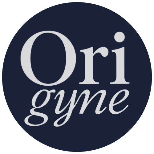 Favicon Origyne BLEU